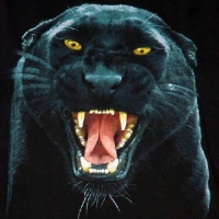 Simone Pontieri - Illustration of digital, Photoillustration, Realism,Education,Graphic,Architectural,Pachaging,Liftyle,Comics boock, Children\'s Production, Editorial, Covers, Cartoon, Animation 2D 3D, Line white color, Greetings Cards